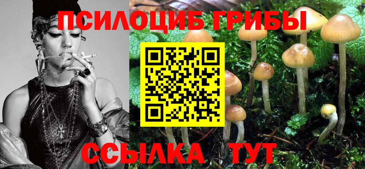 Псилоцибиновые грибы MAGIC MUSHROOMS Белореченск